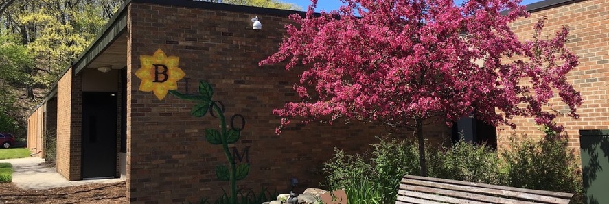 Mary A White Bloom outdoor photo