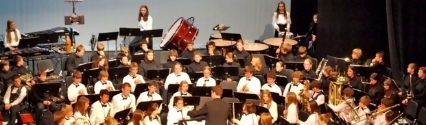 Lakeshore MS Orchestra Performing